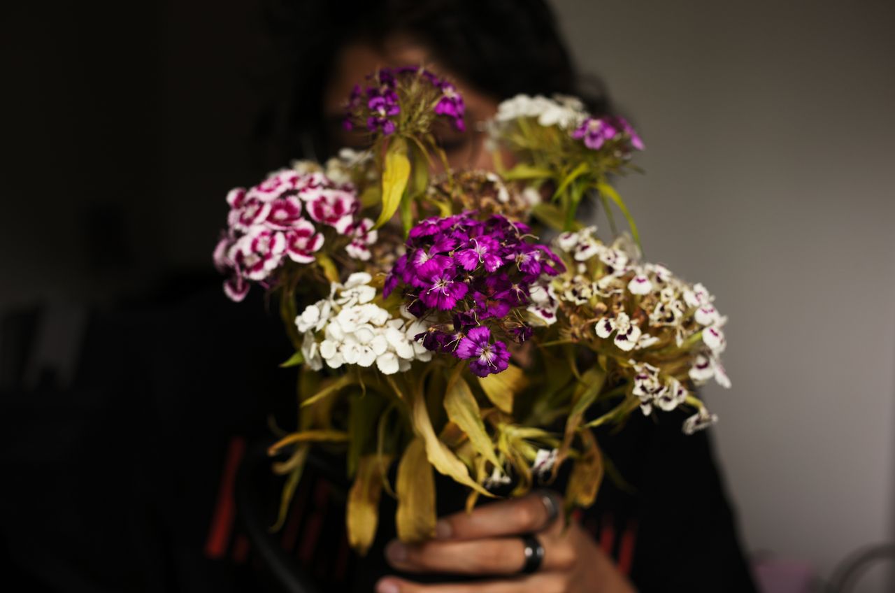 A photo of flowers taken on a Leica M11-D rangefinder camera