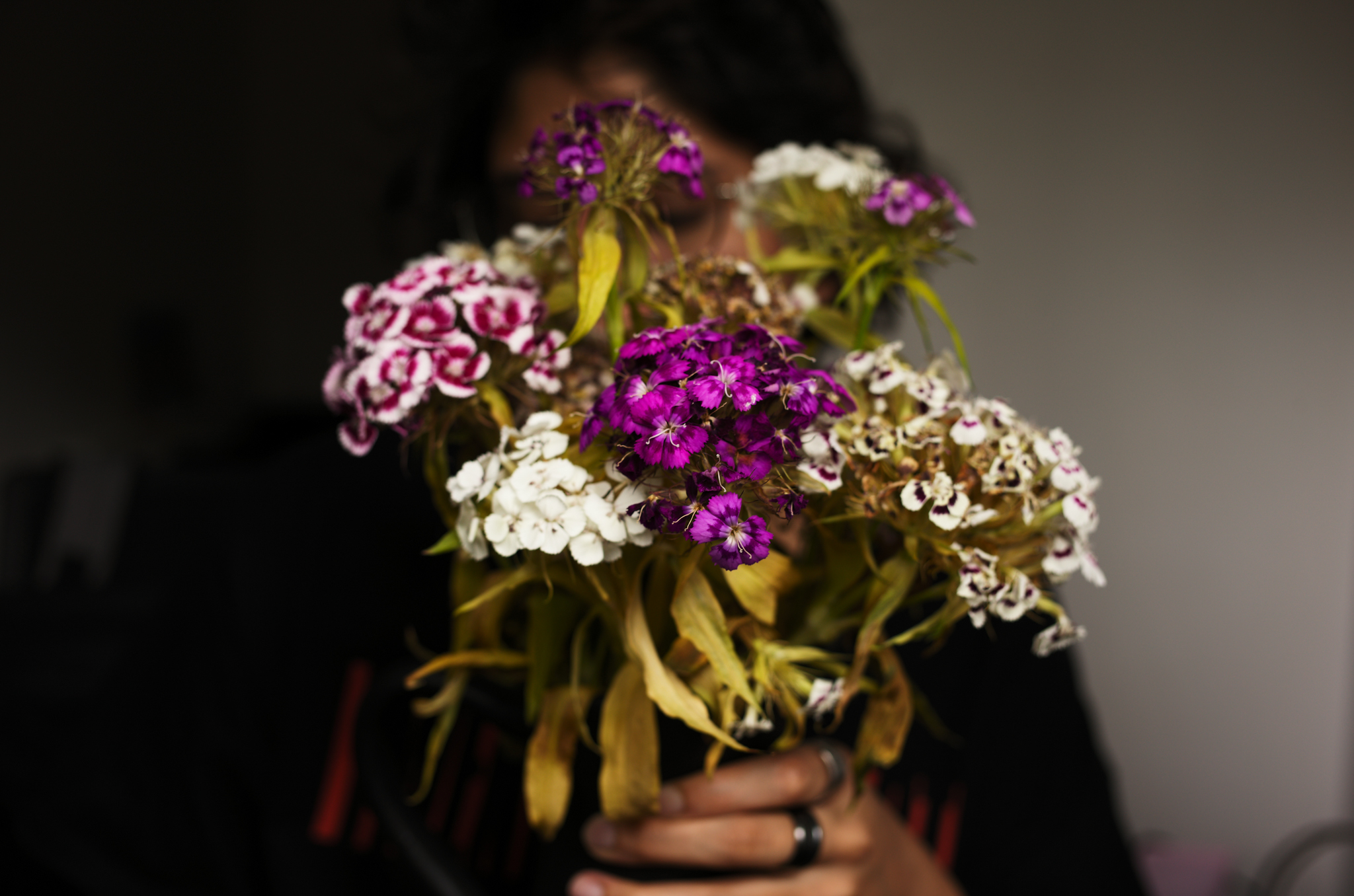 A photo of flowers taken on a Leica M11-D rangefinder camera