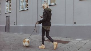 dog walking app paway