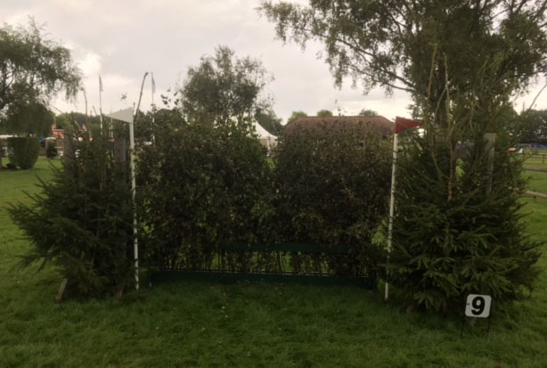 Fence 9 &mdash;&nbsp;Bullfinch