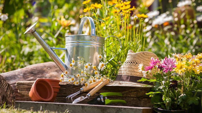 7 Things Expert Gardeners Never Buy – So Save Your Money | Gardening ...