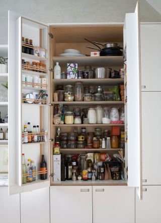 A storage cabinet holding all spices