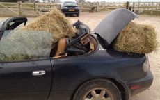 Keeping your car clean and tidy is a common horsey New Year&rsquo;s resolution