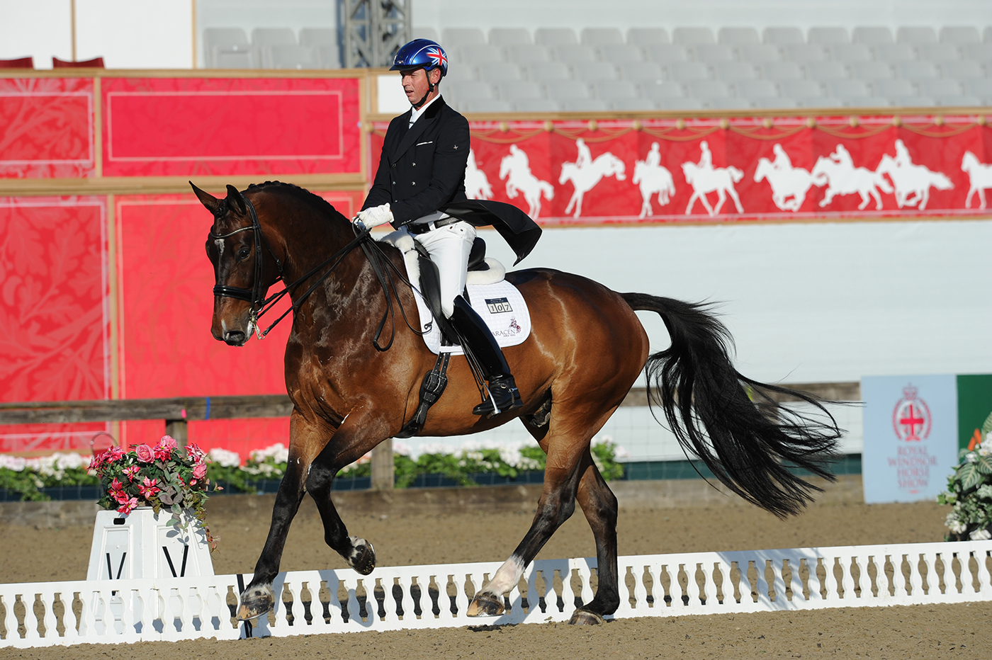 Carl Hester and Nip Tuck at Windsor 2014, Nip Tuck's first international on UK soil