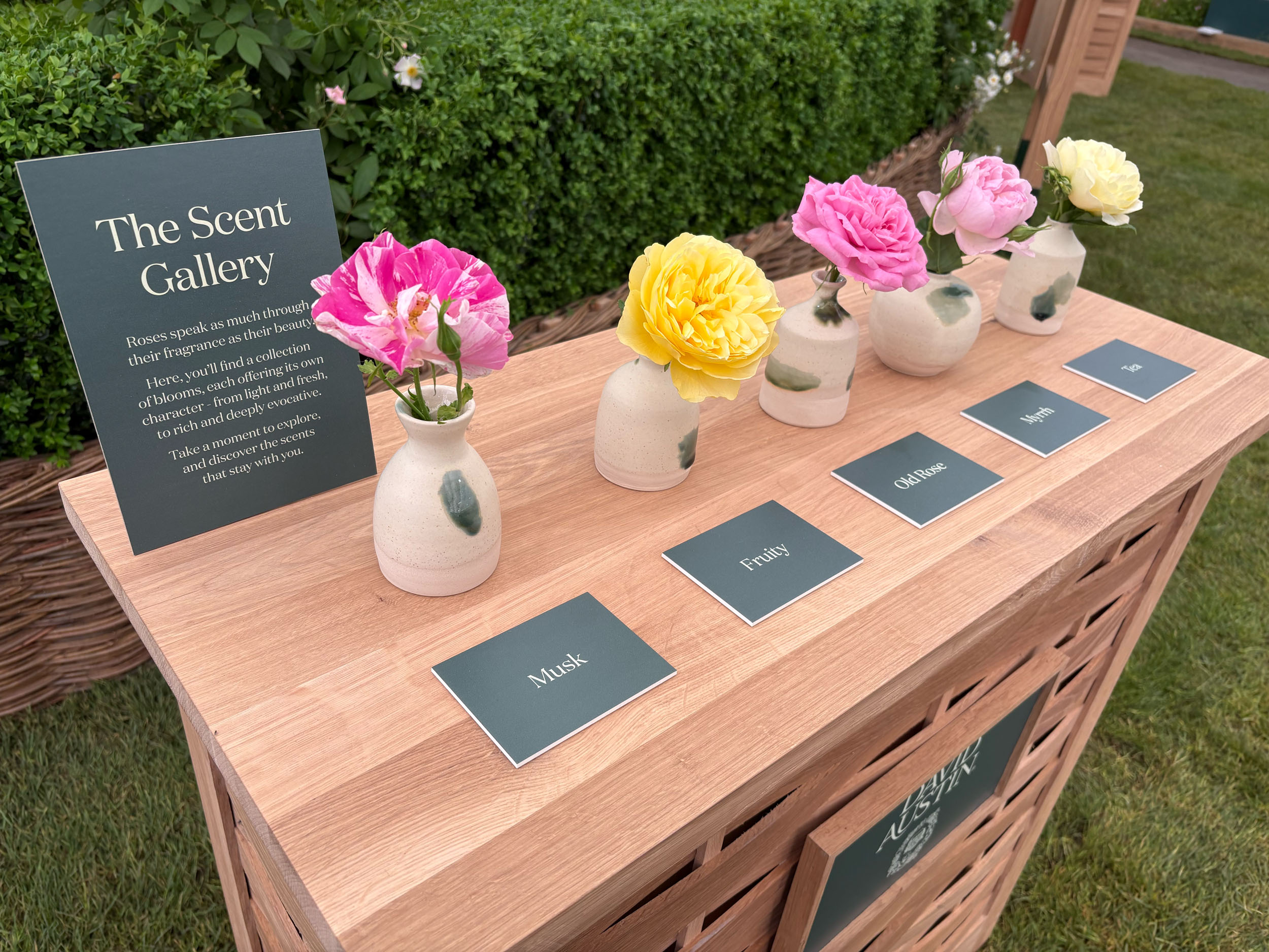 Chelsea Flower Show 26 &amp;mdash;&amp;nbsp;Day 1 pictures