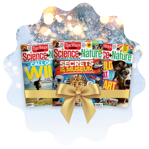 Science + Nature Magazine Gift Bundle