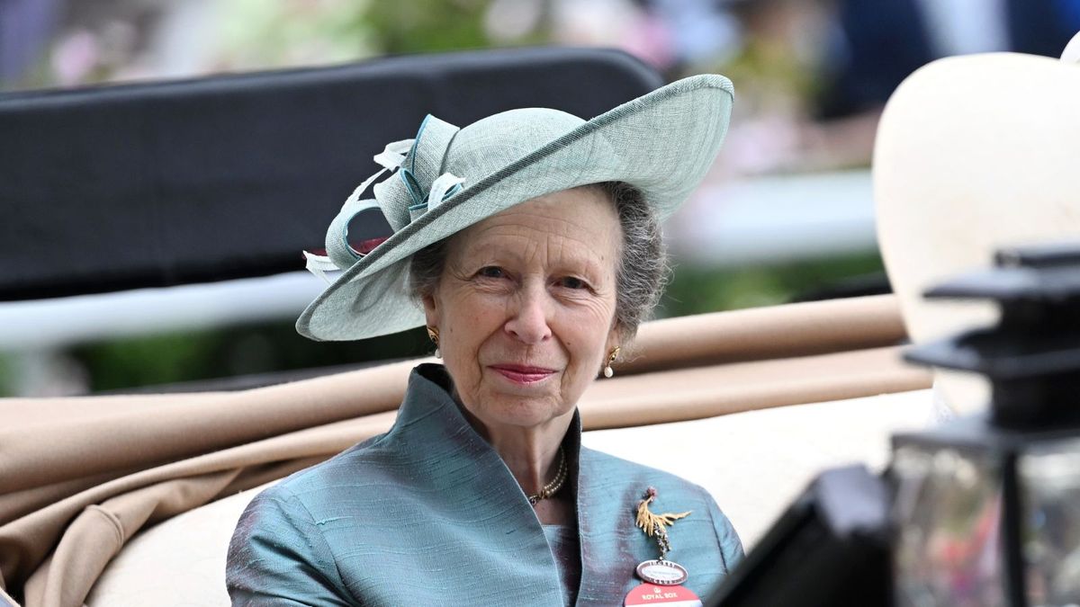 Why 'the whole mood changed' for Princess Anne during moment captured for eternity