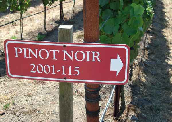 Pinot Noir sign at a Sonoma Coast vineyard