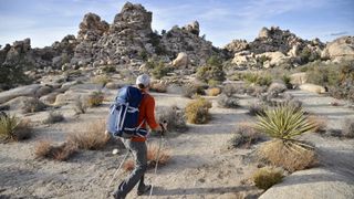 A hiker exploring Joshua Tree National Park