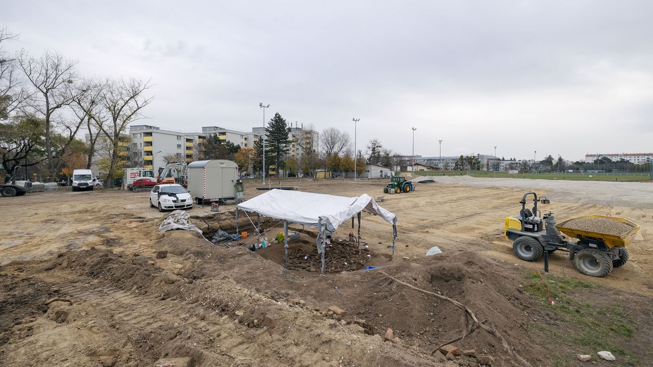 a photo of the field where the grave was found