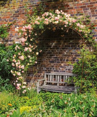 rose covered garden arch and bench