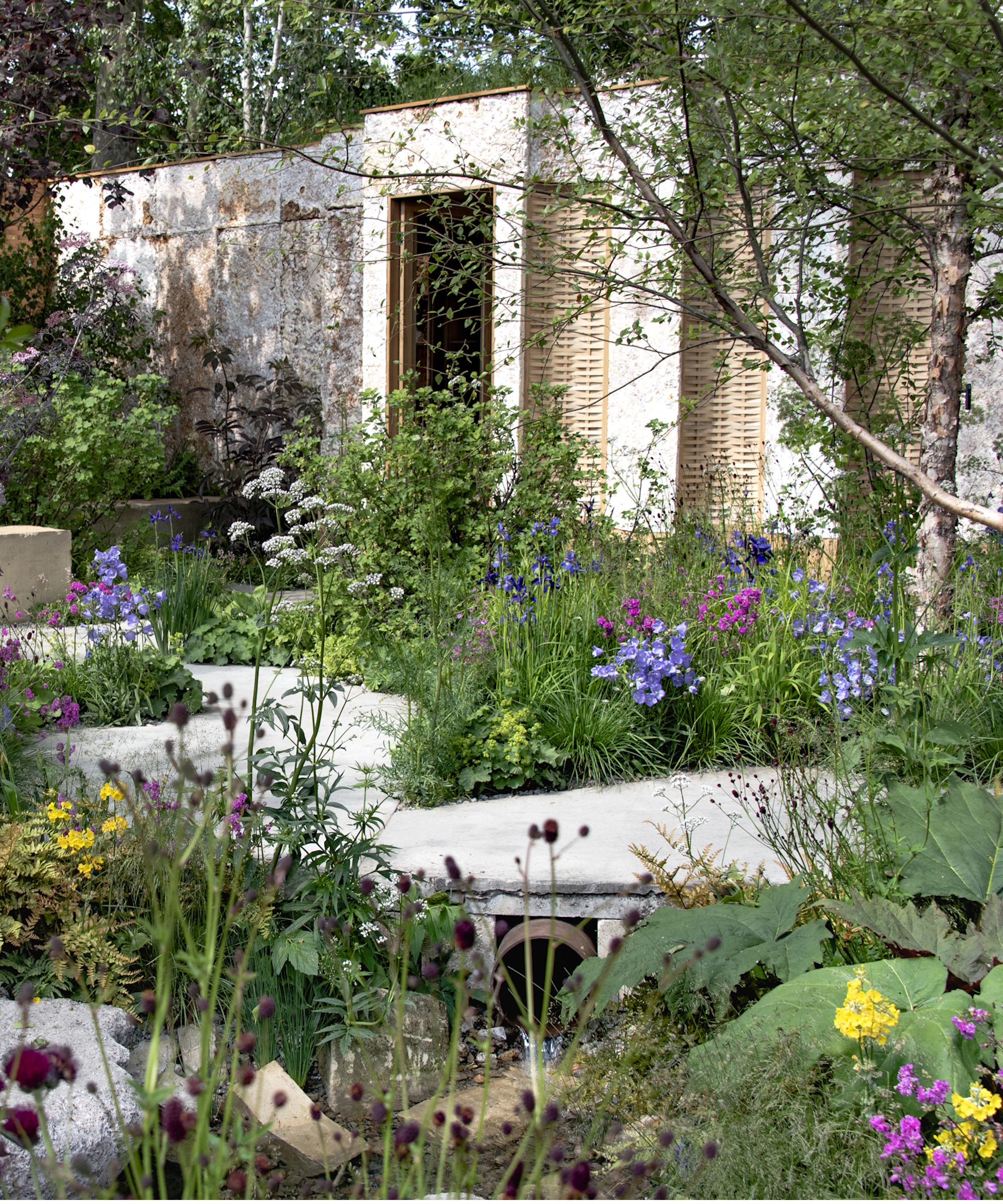 2025 Chelsea Flower Show