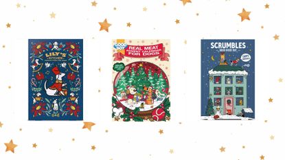 a round up of the best advent calendars for dogs in 2022 on a festive background with gold stars