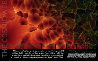 2011 International Science and Engineering Visualization Challenge