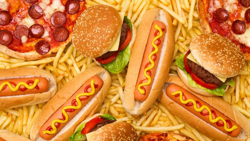 picture of hot dogs burgers and pizza on a bed of chips