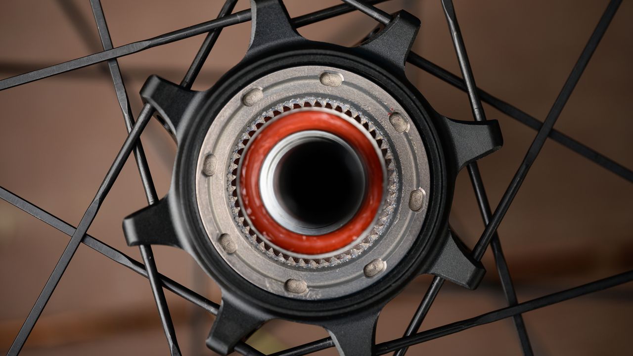 Vision Metron 60 SL hub internals