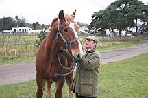 Saxon-Suffolk.jpg