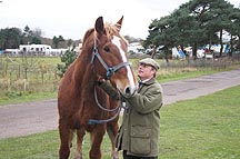 Saxon-Suffolk.jpg