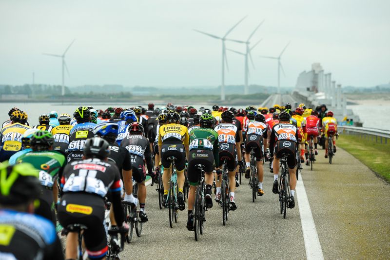 The peloton riding through Zeeland