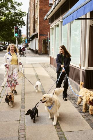 Two women walk dogs wearing Hay dog leads and collars