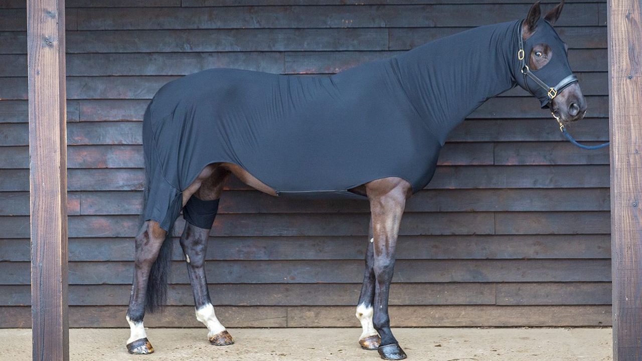 Horseware Rambo Full-body Slinky