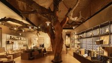 david rockwell milan design week casa cork