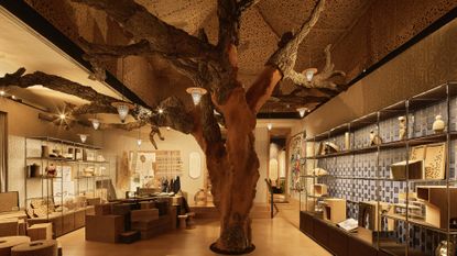 david rockwell milan design week casa cork