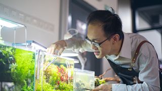 Man looking at his goldfish