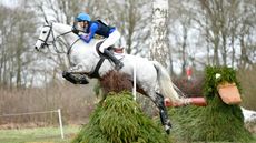 HorseNo372_Tweseldown_PN19_3912_277923102_477401442.jpg