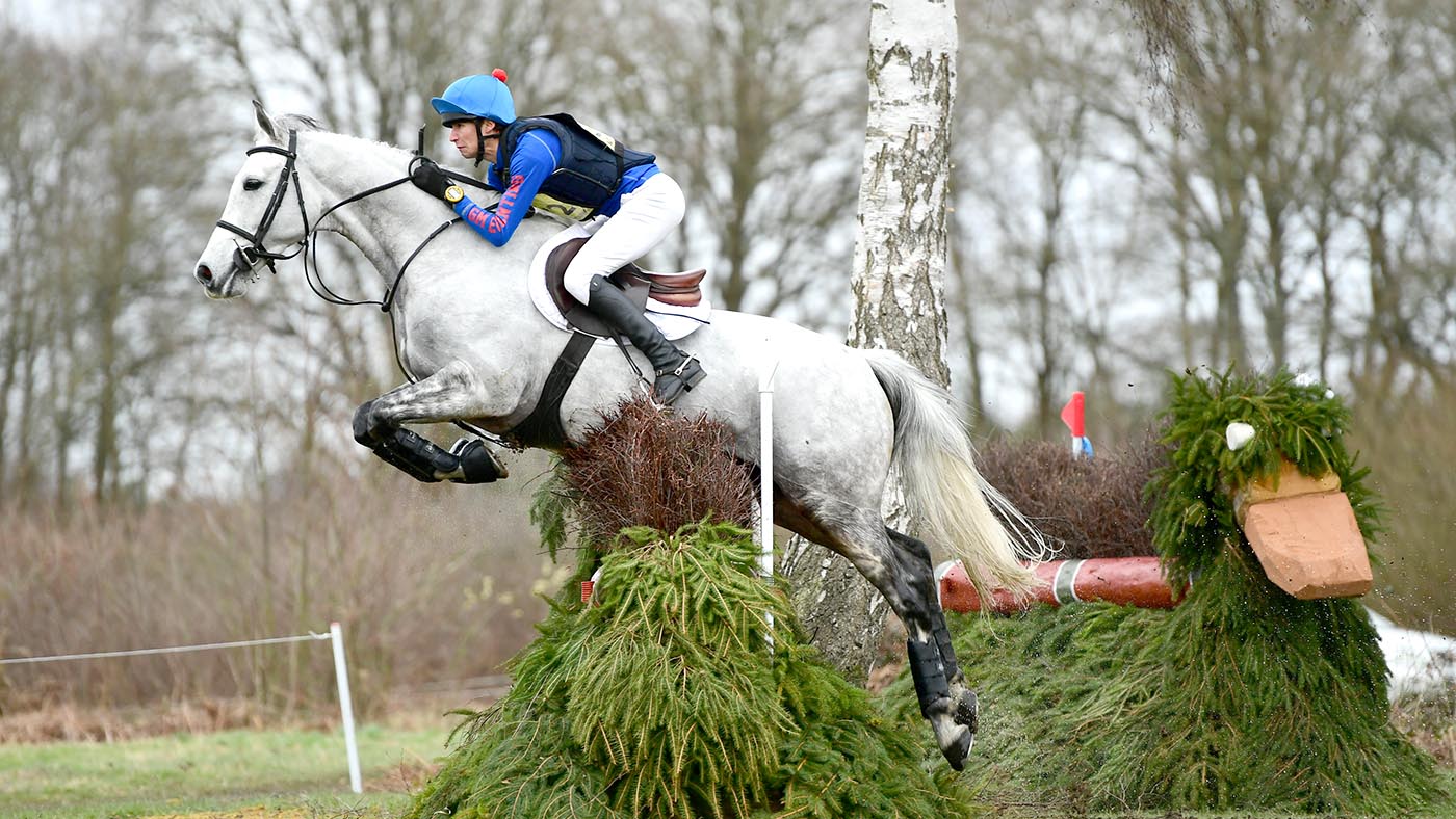 HorseNo372_Tweseldown_PN19_3912_277923102_477401442.jpg