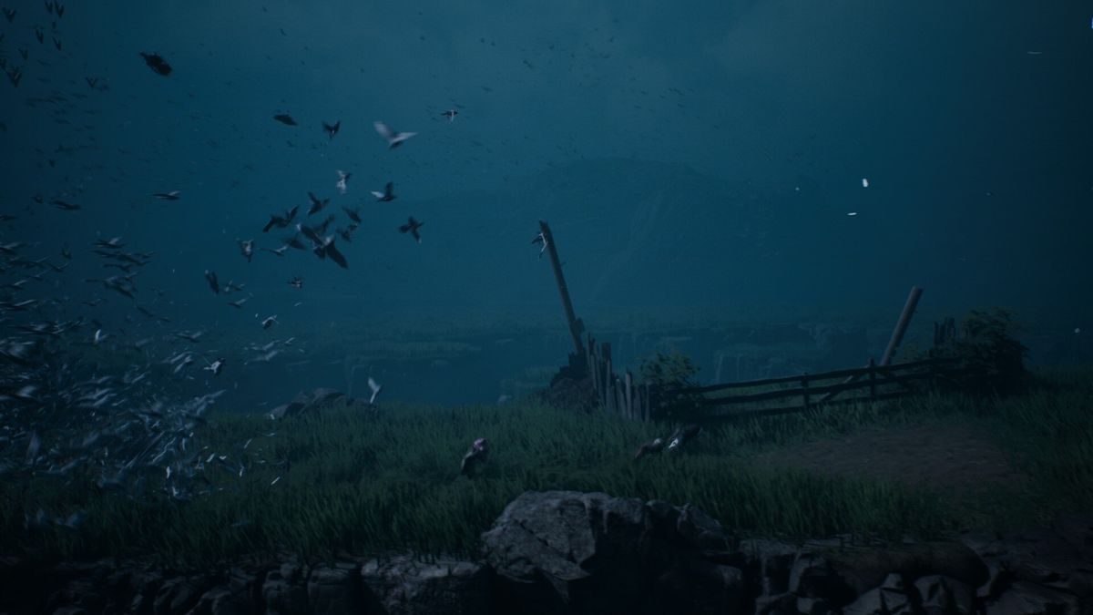 A flock of birds pursues a small figure