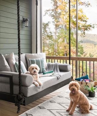 swing seat with dogs and accessories