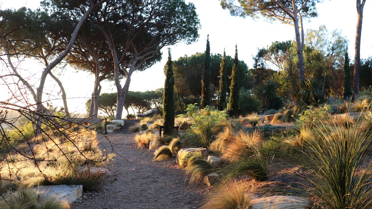 A dry landscape in portugal