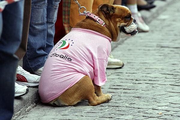 Possibly the ugliest fan at this year's Giro d'Italia was enjoying himself