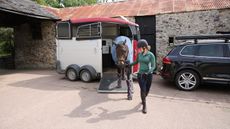 New horse being unloaded from horse trailer.