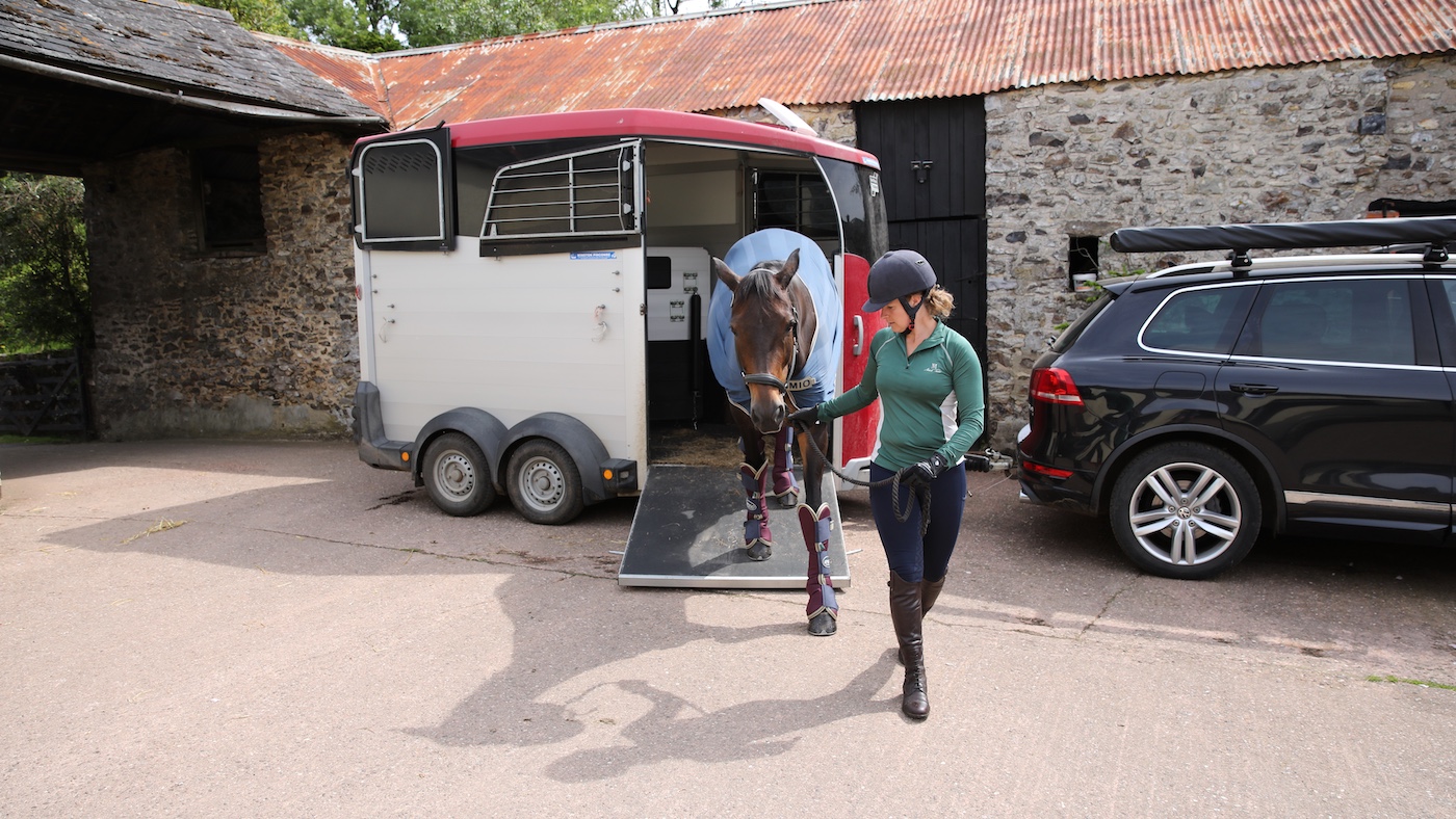 New horse being unloaded from horse trailer.