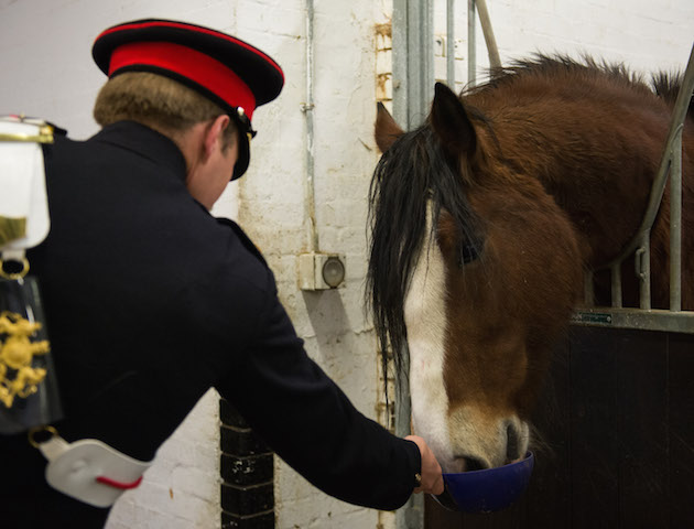 APOLOND-2018-004-Horses-Return-From-Melton-Mowbray-1573.jpg