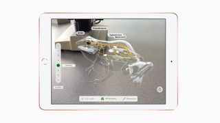 No more waiting for frogs to croak it, you'll be able to dissect and learn in AR