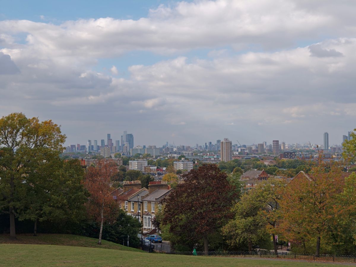 A view of London from a park