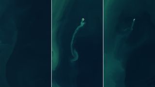 a satellite's view of a tiny island off of a larger coastline. a wispy trail of muddy water extends downward away from the island in the surrounding water