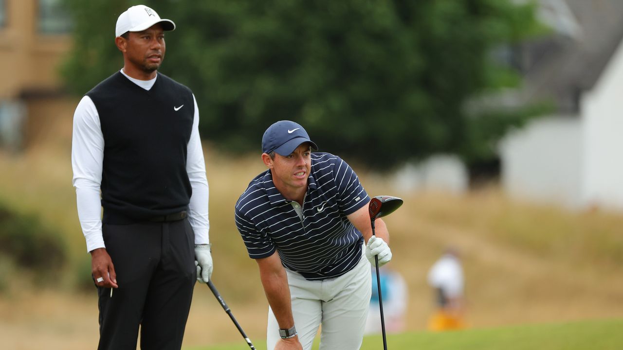 Tiger Woods and Rory McIlroy have teamed up to propose new stadium-based events