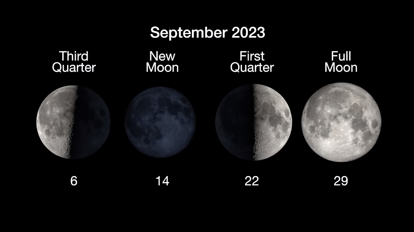 new and full moon calendar