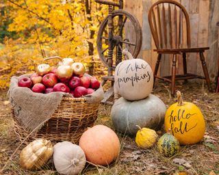 apples in basket with painted pumpkins