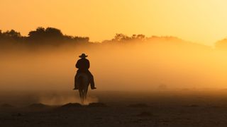 Pantaneiro cowboy herding horses at sunset in North Pantanal, Brazil.