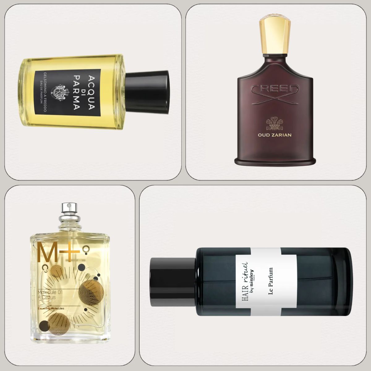 A collage of new in perfumes