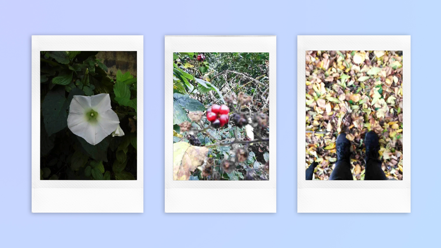 Instant photo prints taken on a Fujifilm Instax mini LiPlay Plus hybrid instant camera