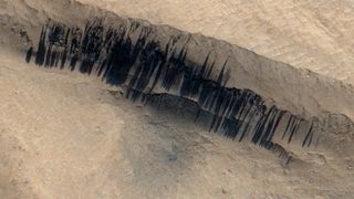 A series of black streaks across a brown sandy surface