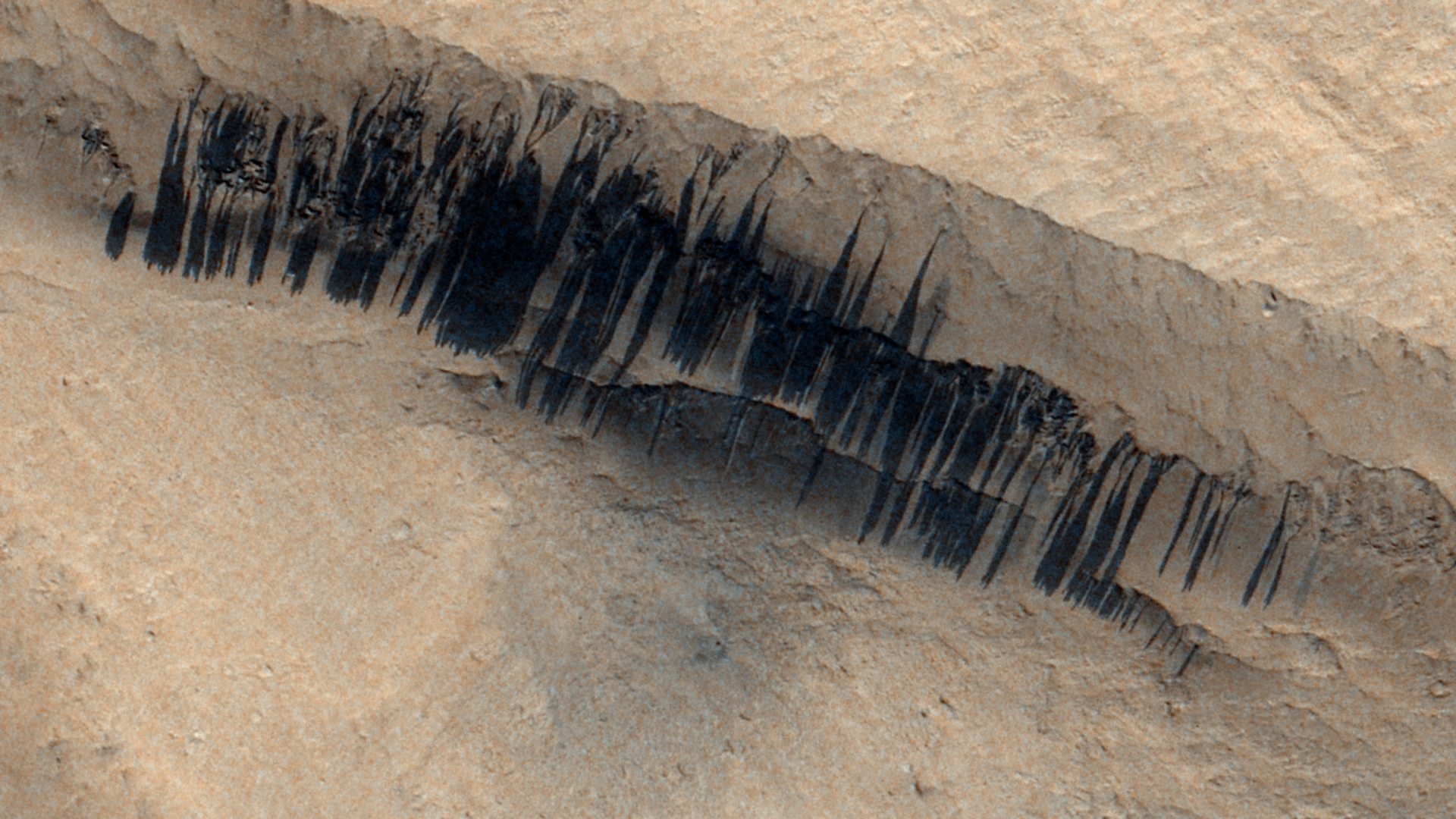 A series of black streaks across a brown sandy surface