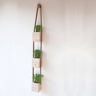 Three Tier Hanging Wooden Planter hanging on white wall each with a green plant in it
