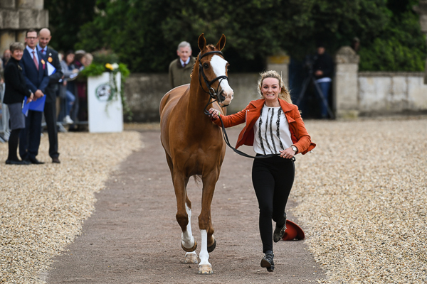 Mitsubishi Motors Badminton Horse Trails 30 04 19